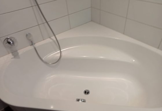 Toilettenreinigung