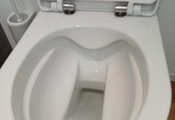 Toilettenreinigung