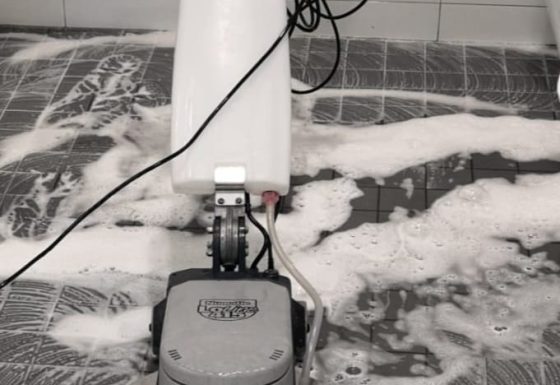 Toilettenreinigung